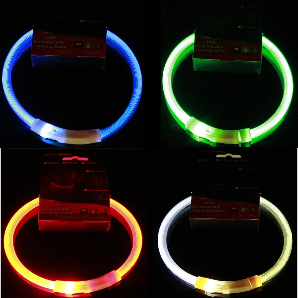 Collar LED Recargable – Reflectante e Impermeable