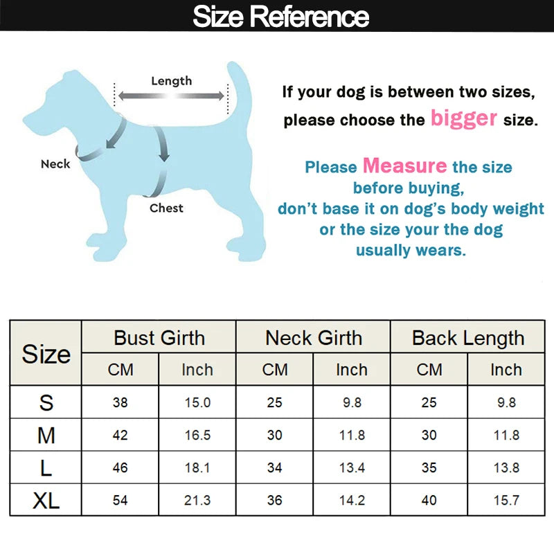 Chubasquero Impermeable Reflectante